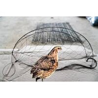 bộ 10 Cung bẫy Cút giá rẻ hiệu quả 2019