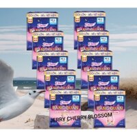 Bộ 10 gói băng vệ sinh dạng quần Diana sensi 5 chiếc chống tràn 360° size ML