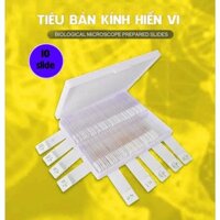 Bộ 10 mẫu tiêu bản cho kính hiển vi - Rễ hành, hoa hẹ, động vật, thực vật, vi khuẩn, nhiễm sắc thể người