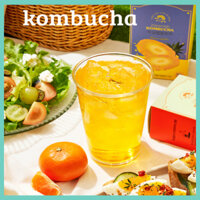 Bộ 10 Que Thải Độc Kombucha (8 Thỏi) Tangerine / Cherry Coke / Đào / Chanh / Bưởi / Dứa / Dứa / Sáng Bóng