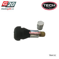 Bộ 10 van lốp không săm ô tô và xe tải nhỏ Tech TRI413C (INOX, 32mm)