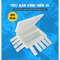 Bộ 100 mẫu tiêu bản cho kính hiển vi - Rễ hành, hoa hẹ, động vật, thực vật, vi khuẩn, nhiễm sắc thể người