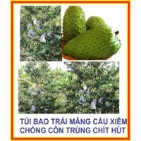 Bộ 100 túi bao trái vãi lưới bao mãng cầu xiêm , bưởi năm roi, da xanh