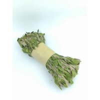 Bó 100m dây thừng lá xanh bó giá sỉ