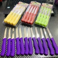 Bộ 12 Dao Inox Cắt Gọt Trái Cây, Rau Củ Siêu Bền, Không Rỉ Sét - Thái Lan