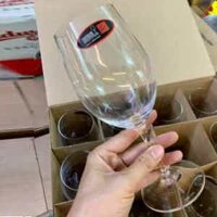 Bộ 12 ly uống vang đỏ Riedel Degustazione nhập khẩu dành cho nhà hàng của Đức