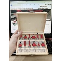 Bộ 12 Mũi Soi Chuyên Dùng Cho máy Phay Cầm Tay Hoặc Máy Bàn Router (cốt 6.35 mm hoặc 12.7mm)