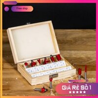 Bộ 12 Mũi Soi Cốt 6.35mm - Bộ 12 Mũi Soi Cốt chuyên dùng cho máy phay cầm tay hoặc máy bàn router cốt 6.35 mm CAO CẤP