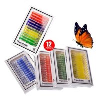 Bộ 12 tiểu bản mẫu vật của động thực vật dùng trên kính hiển vi