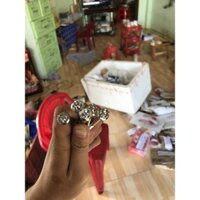 bộ 17 con lốc máy inox salaya cho wave blade