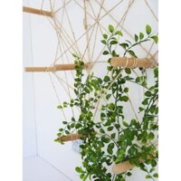 bộ 19 móc gỗ đa năng kèm dây thừng đay trang trí nhà cửa