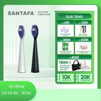 Bộ 2 Đầu Bàn Chải Thay Thế Cho Bwel PRO850