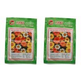 Bộ 2 gói Hoa Cúc huân chương mix Gazania lucky