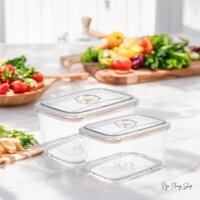 Bộ 2 hộp lạnh chữ nhật TOMEI Hokori Việt Nhật (6561+6562). Hộp dày dặn, nắp đậy kín, chắc chắn.