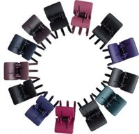Bộ 2 Kẹp Tóc Càng Cua - 3 Răng Đen  Màu