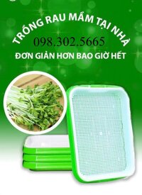 bộ 2 Khay trồng rau mầm thuỷ canh chuyên dụng và 1 gói hạt rau mầm rau muống, cải đỏ, cải xanh...