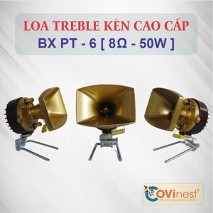 Bộ 2 loa treble BX PT-6