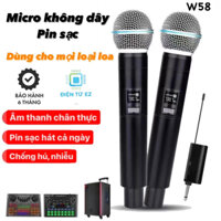 Bộ 2 Micro không dây pin sạc, sóng uhf đầu thu nhỏ gọn chuyên dùng cho mọi loại loa (Tặng kèm đầy đủ phụ kiện và pin)