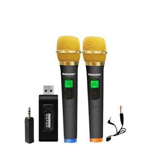 Bộ 2 micro không dây Temeisheng W-48