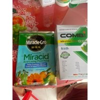 BỘ 2 : MIRACLE 30-10-10 + 2 GÓI COMBI = 200L NƯỚC GIÚP LÁ MỞ NHANH XANH DÀY LÁ