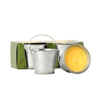 Bộ 2 nến thơm xô thiếc nhỏ thơm R.I.D FTRAMART RID1458 (Bạc, hương sả chanh)