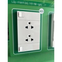Bộ 2 Ổ cắm 3 chấu 2P+N (có chân nối đất) tích hợp Công tắc tắt nguồn 16A Schneider - Pháp