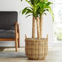Bộ 2 sọt nhựa giả mây tròn 40cm, đựng quần áo, lồng chậu cây. Set of 2 round poly rattan basket,