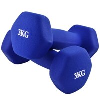 Bộ 2 tạ tay  3kg cao cấp tập Gym BG hàng nhập khẩu - Lam