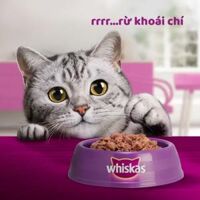 Bộ 24 Túi Thức Ăn Dạng Sốt Cho Mèo Trưởng Thành WHISKAS 80G - Dinh Dưỡng Hoàn Thiện & Cân Bằng Cho Mèo Từ 1 Tuổi trở Lên