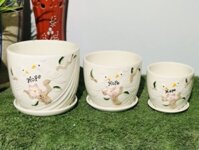 Bộ 3 chậu gốm sứ kèm đĩa đựng nước