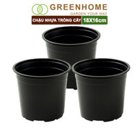 Bộ 3 Chậu nhựa trồng cây, nhiều kích thước, thoát nước tốt, đa dạng kích thước trồng cây, hoa, kiểng lá Greenhome - 3C NHỰA CỨNG 18x16