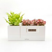 Bộ 3 chậu trồng cây thông minh tự dưỡng tích hợp đồng hồ sinh học Legrow - Magical Plant Clock
