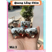 Bộ 3 cóng sứ cho lồng chào mào, đã bao gồm tai cóng ,Quang Lông Chim