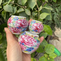 Bộ 3 Cóng Sứ Mi Bách Hoa Cóng ăn, uống Lồng Chim Hoạ Mi Chích Choè Cao Cấp Phụ Kiện Kabosa