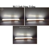 Bộ 3 Đèn Tuýp Led Liền Máng Rạng Đông BD LT03 T5 N02 30cm 4w Chip Led Sam Sung - Bảo Hành 24 Tháng