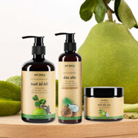 Bộ 3 Gội – Xả – Ủ Tóc Thảo Dược – Giúp Tóc Chắc Khỏe & Óng Mượt Giọt Lành