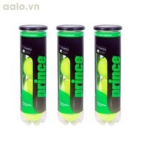 Bộ 3 hộp bóng Tennis Prince Futura 4 quả / hộp