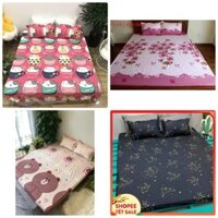 Bộ 3 Món Ga Gối Cotton Poly Mẫu CÚN GU CII(đủ kích thước)