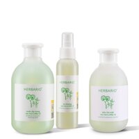 Bộ 3 rau má và diếp cá Herbario da mụn Thuần Chay: Nước tẩy trang 300ml + Sữa rửa măt 200ml + Xịt khoáng 100ml