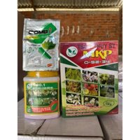 bộ 3 tạo mầm : 1 hủ 1-80-1 (500g) + 1 hộp MKP 0-52-34 (1kg) + 2 gói combi = 200L nước