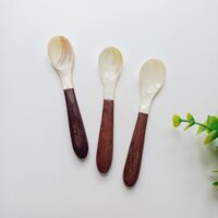 [Bộ 3] Thìa Trai Trắng Cán Gỗ Dài 13cm Tinh Tế Ăn Trứng Cá Hồi, Trứng Cua, Ăn Sữa Chua, Ăn Dặm Cho Bé Của Vitrapro