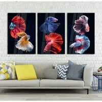 Bộ 3  tranh cá chép phòng khách