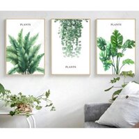 Bộ 3 tranh canvas hình lá hiện đại ADH00858