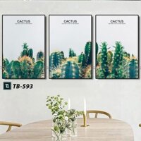 Bộ 3 Tranh Canvas Tropical Castus TB-593