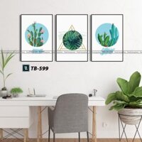 Bộ 3 Tranh Canvas Tropical Castus TB-599