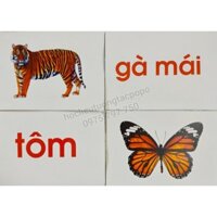 Bộ 30 thẻ flashcard chủ đề: ĐỘNG VẬT