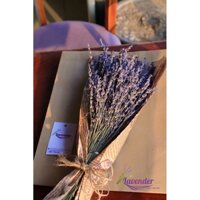 Bó 300 cành hoa oải hương khô Lavender nhập khẩu Pháp thơm phòng, trang trí decor nhà cửa, làm quà tặng gia đình, bạn bè