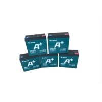 Bộ 4 bình ắc quy xe đạp điện Tianneng  48V 20.3Ah / Ắc quy Thiên Năng 20A nội địa số 1 Trung Quốc