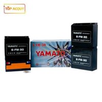 Bộ 4 bình ắc quy Yamato 12V 30Ah dùng cho xe máy ,xe đạp điện, loa kéo, lưu điện