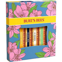Bộ 4 Cây Dưỡng Môi Dưỡng Ẩm Burt's Bees Spring Lip Balm (Mỹ)